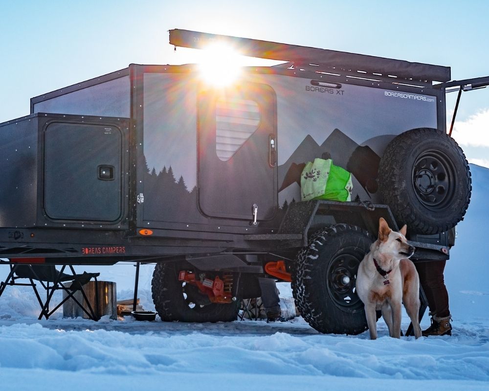 camping with dogs in Colorado