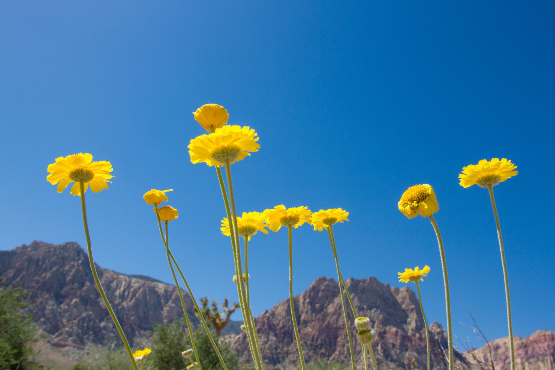 XGRiD Campers: the Boreas Campers Dealer in Las Vegas