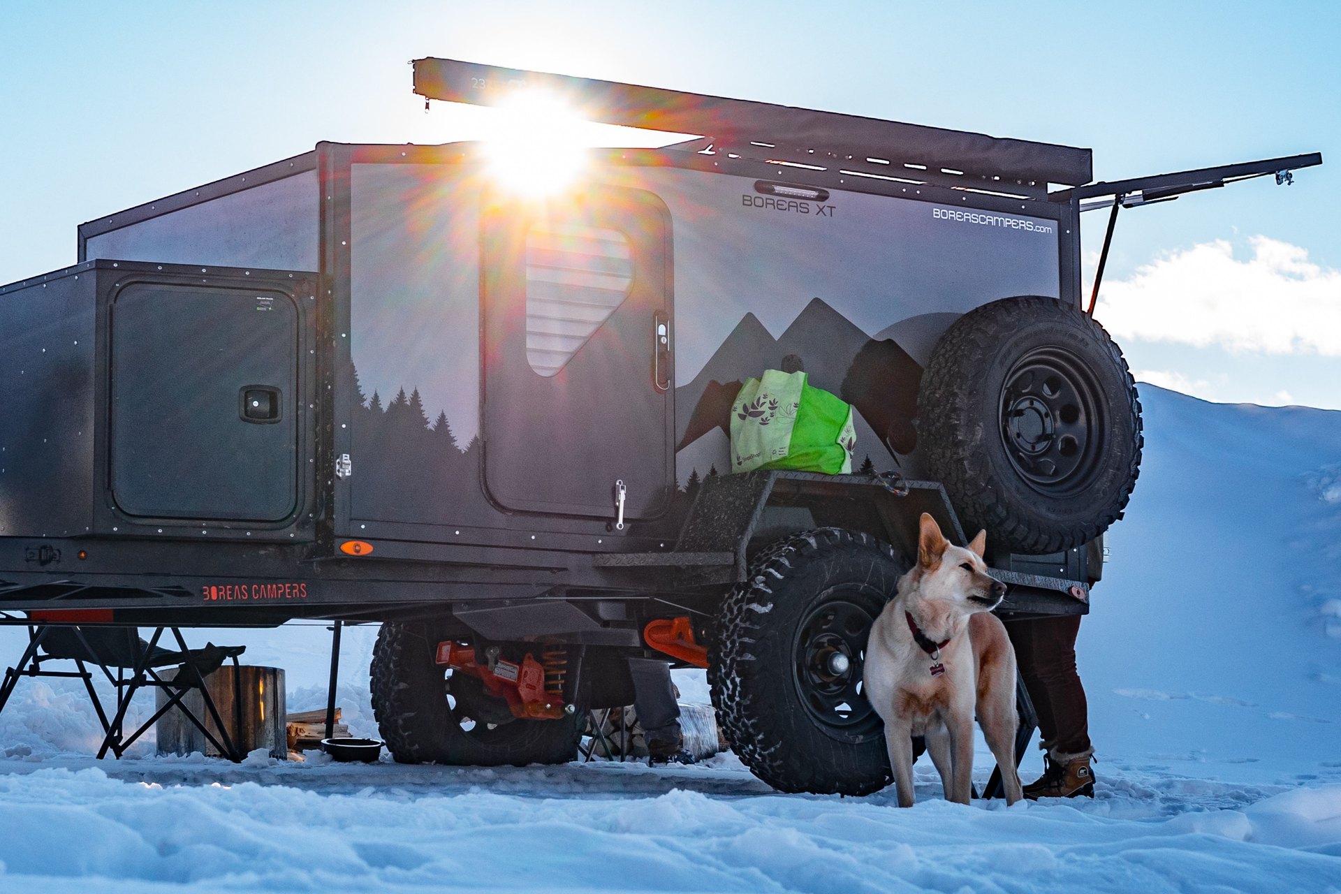 Tips for Camping with Dogs in Colorado